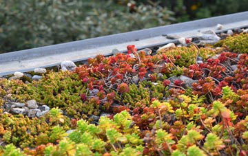the cost of Staplers green roof installation