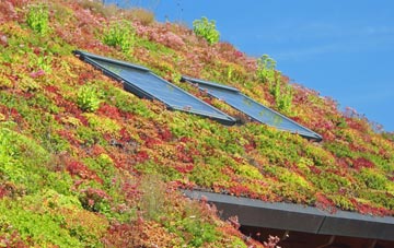 Staplers living roof systems